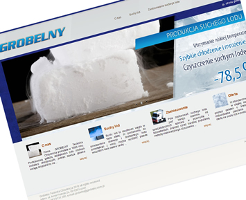 Strona www oferująca Suchy Lód (Luboń)